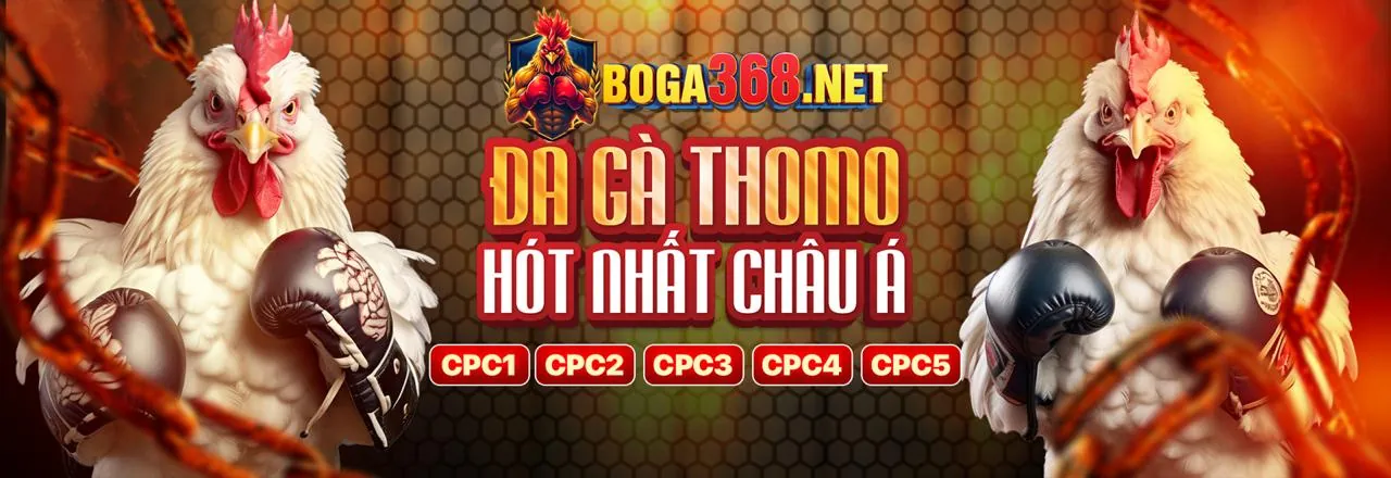 Nền tảng cá cược Bomwin Login hàng đầu